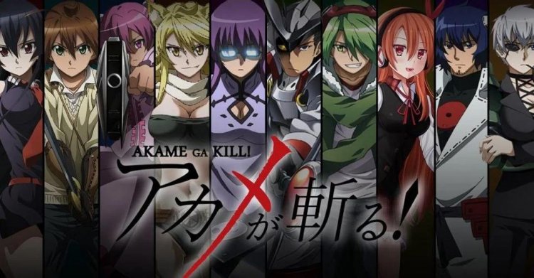 Akame ga Kill !: Sẽ Có Bao Giờ Có Phần 2?