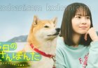 Phim live-action Kyō no Sanponta tiết lộ thêm dàn diễn viên, ra mắt ngày 21 tháng 2
